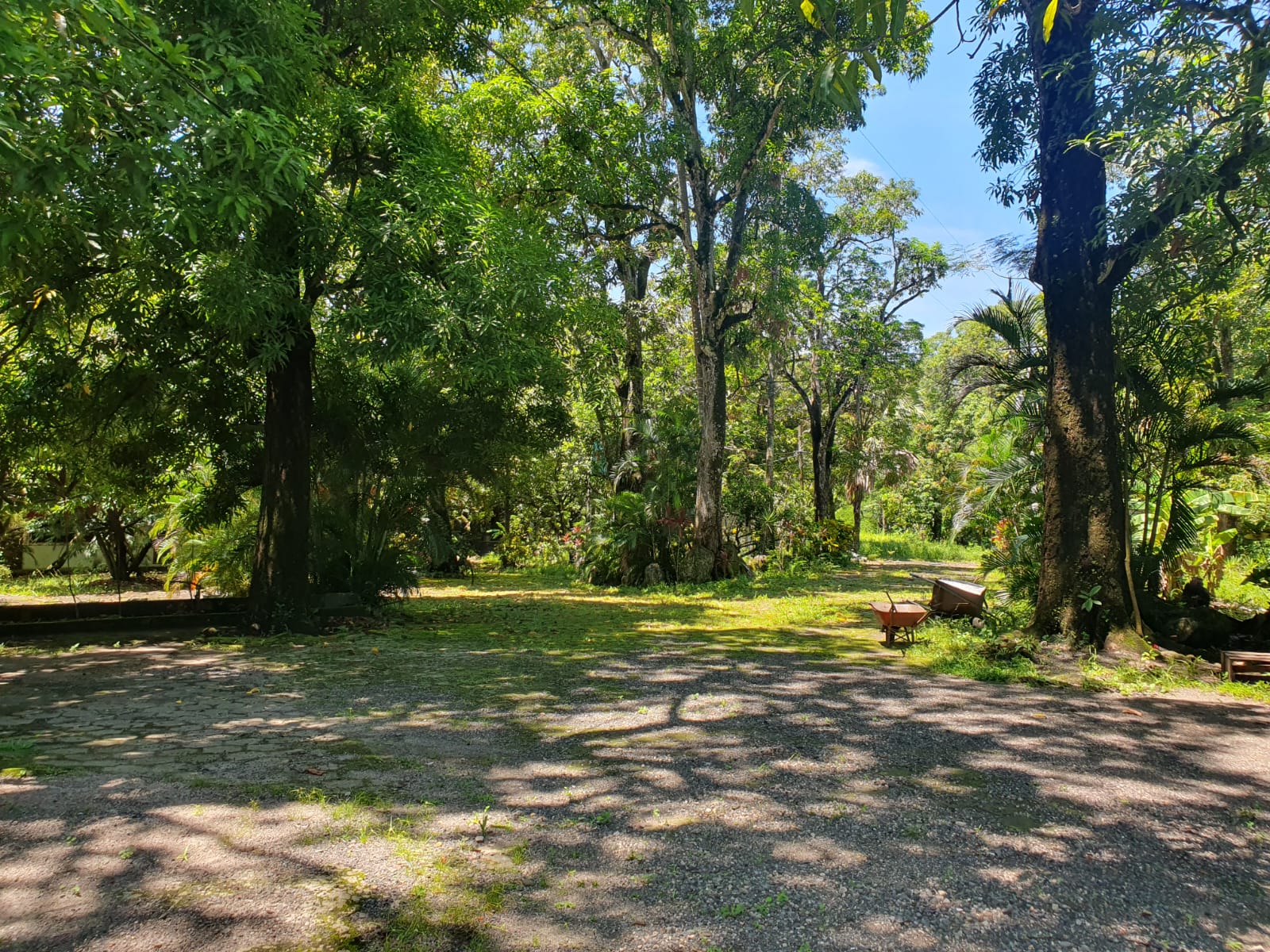 Finca El Mangón